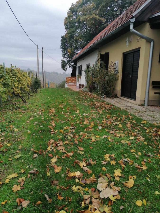 Holiday home Rural House Above The Forest *
